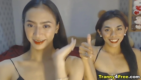 Busty skinny shemale gets fucked by two asian boys