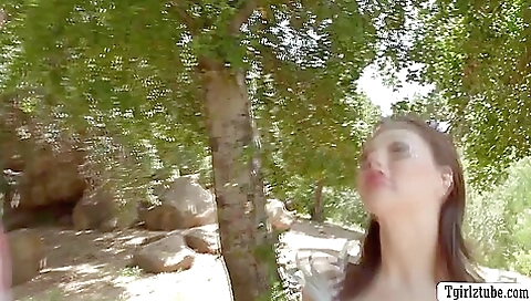 Huge cock big ass brunette babe has an anal sex session