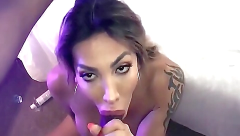 A brunette gets her big dick sucked and deepthroated